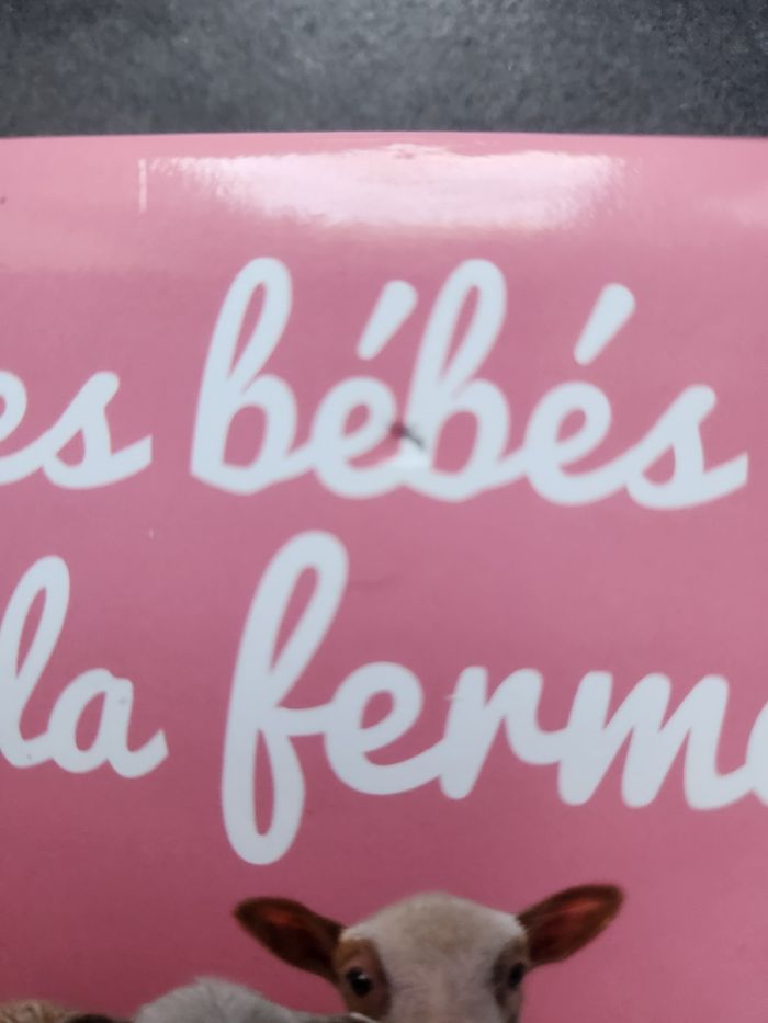 Les bébés de la ferme - photo numéro 2