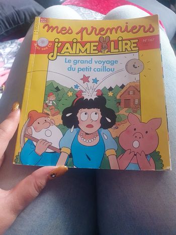 J'aime lire : Le grand voyage du petit caillou
