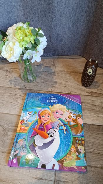 Livre reine des neiges