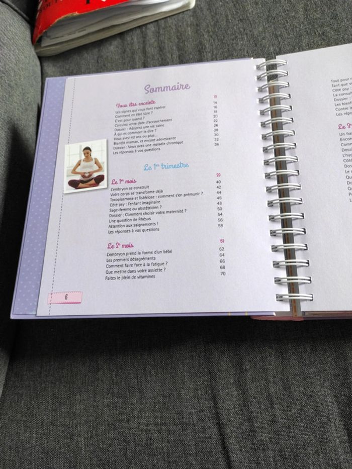 Livre "maman dans 9 Mois" - photo numéro 3