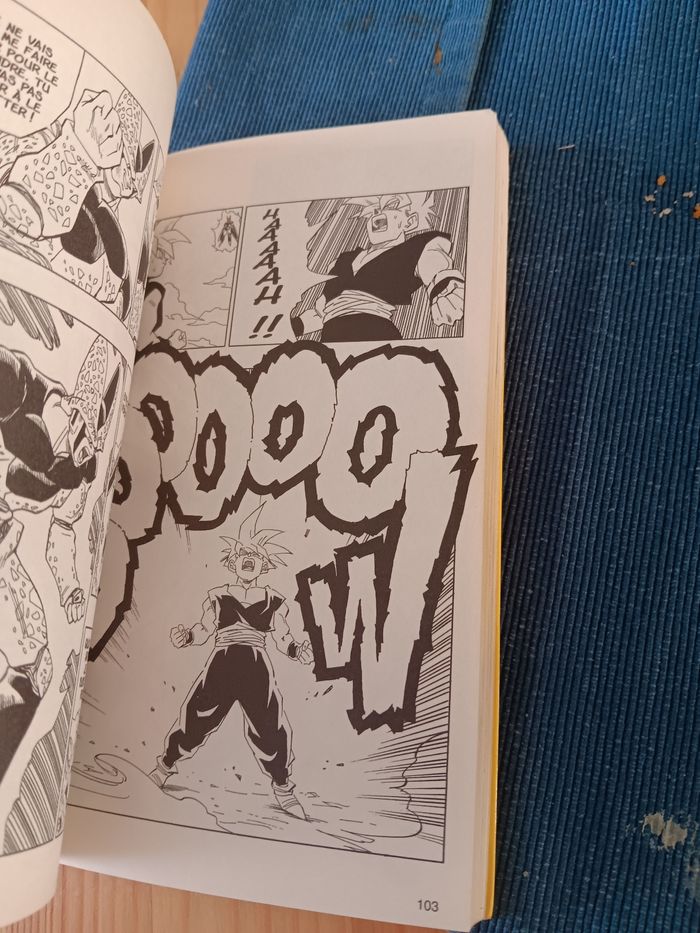 Dragonball tome 34 - photo numéro 4
