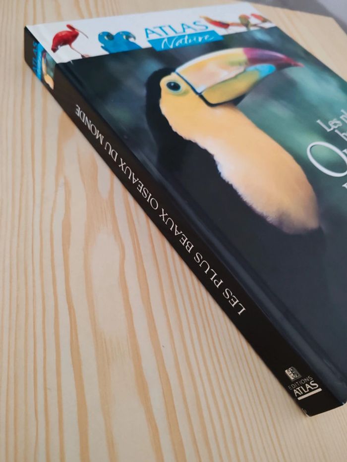 Les plus beaux oiseaux du monde 🦜 - photo numéro 3