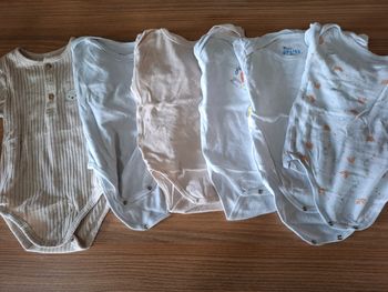 Lot 6 bodies 12 mois petit cailloux