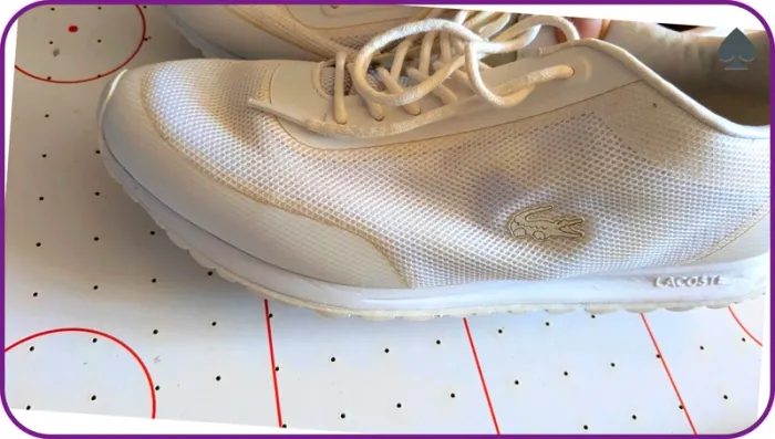 Tennis Basket blanche femme Lacoste 39 - photo numéro 2