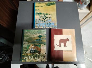 Albums photos à pochettes