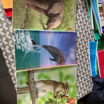 Lot de trois cahiers grands carreaux format 24 par 32 cm  96 pages