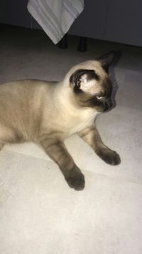 profil