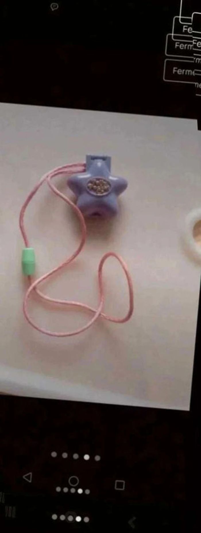 Polly pocket - photo numéro 4