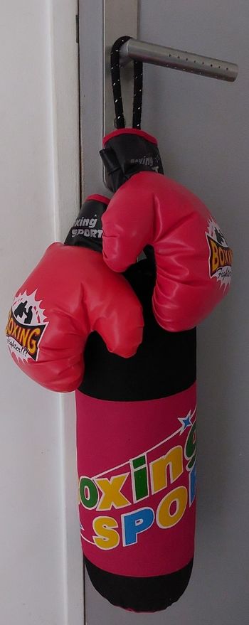 Sac de frappe + gants de boxe