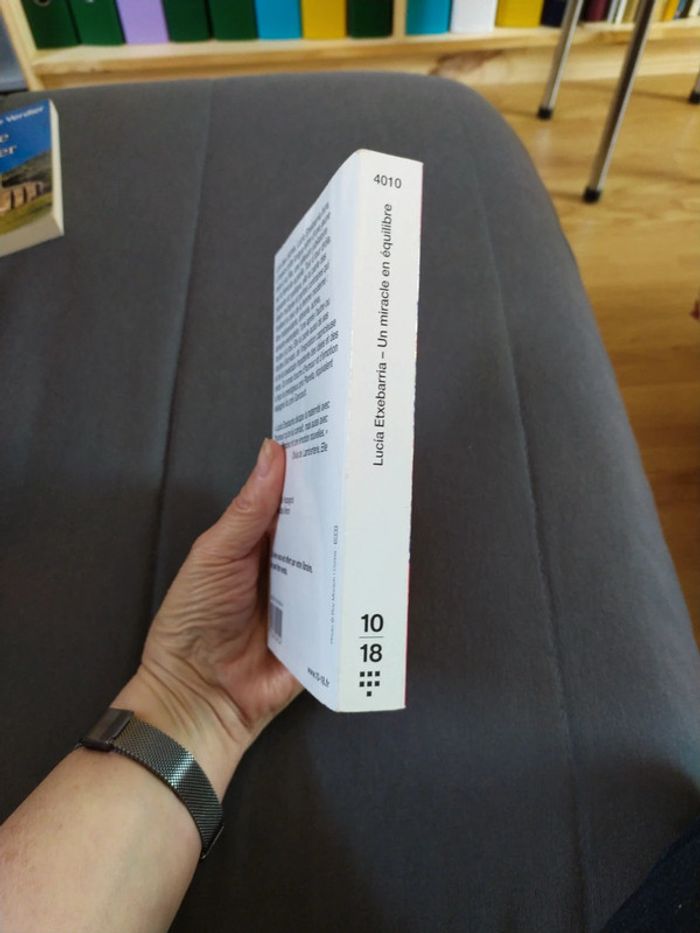 Un miracle en équilibre de Lucia Etxebarria - photo numéro 3