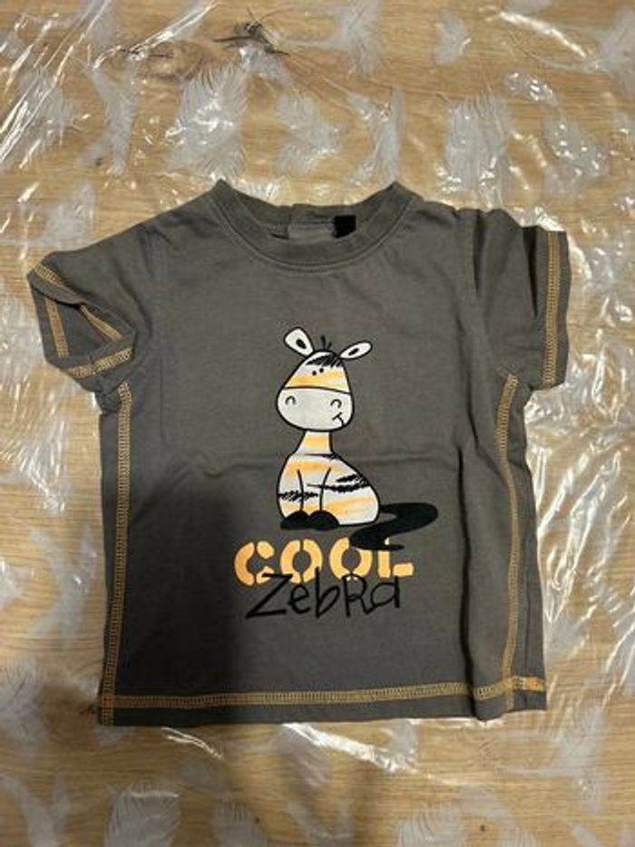 Lot de 6 tee shirts MC - photo numéro 9