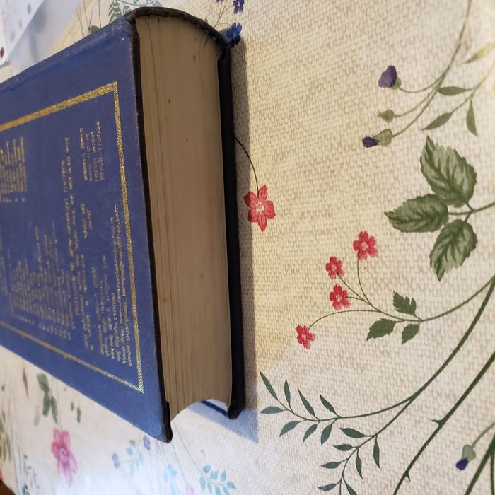 Dictionnaire Hindi - photo numéro 3