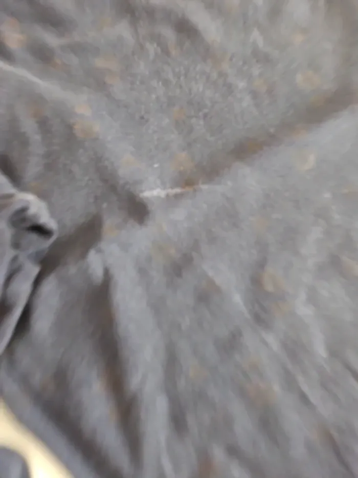 Pantalon fluide Camaieu - photo numéro 3