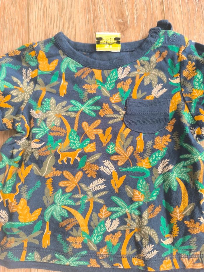 Tee-shirts manches courtes 6 mois - photo numéro 4