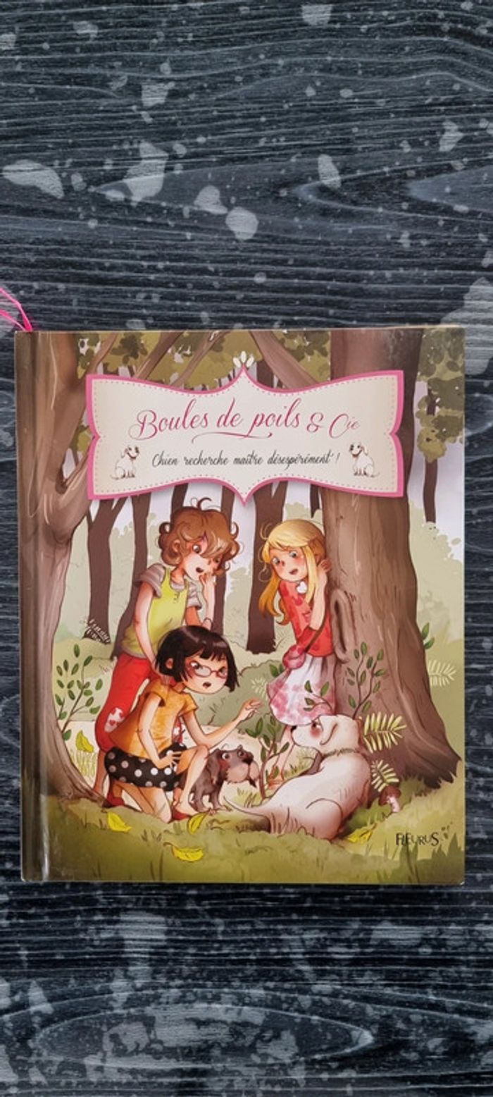 Livre boules de poils et compagnie - photo numéro 4