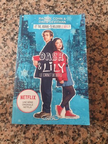 Dash& Lily le carnet des défis