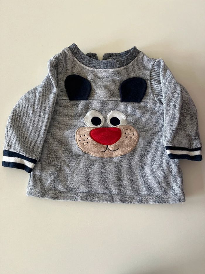 Pull chien