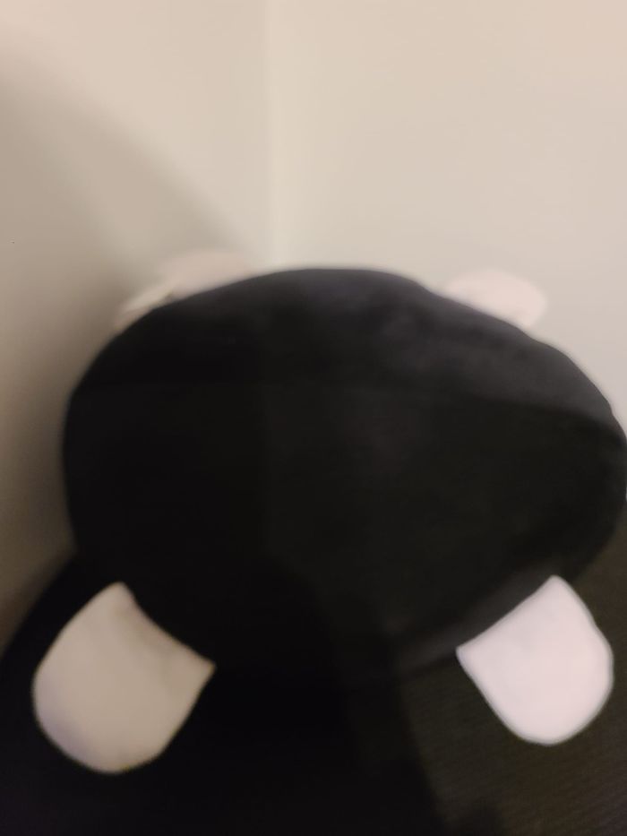 doudou chat - photo numéro 5