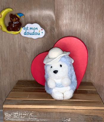 TC51 Doudou hérisson 🦔 tartine et chocolat