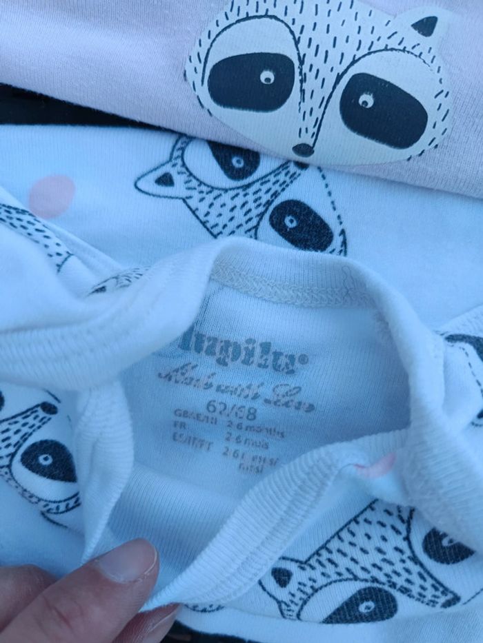 Lot bodies - photo numéro 3