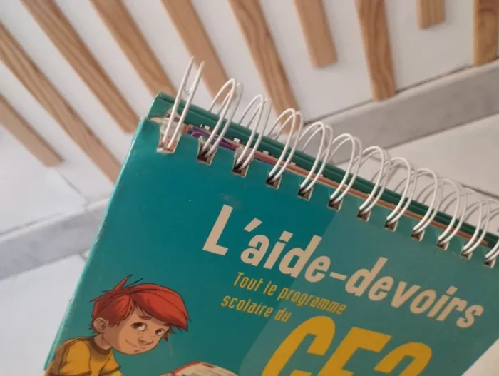 Fichier aide aux devoirs ce2 - photo numéro 16
