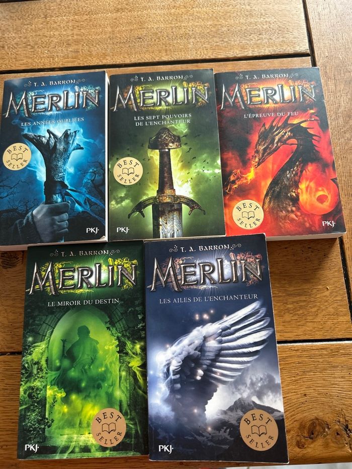 Merlin - photo numéro 2