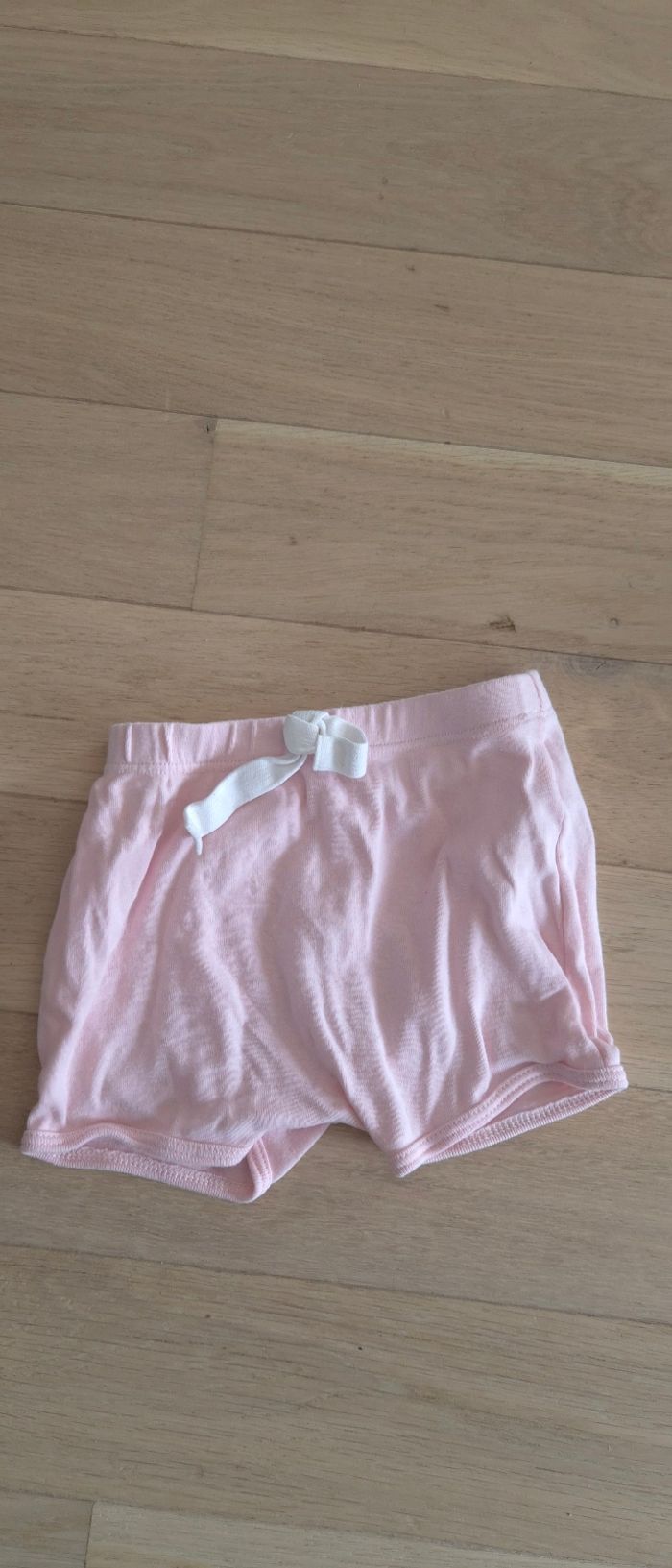 Short rose 18M