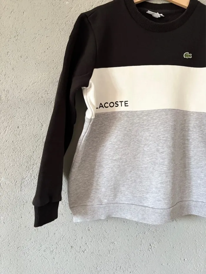 Sweat-shirt Lacoste 10ans 🚗 - photo numéro 5