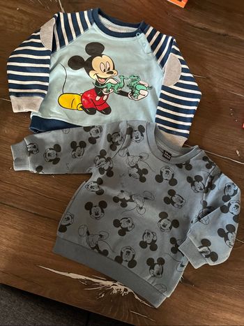 Lot 2 pulls chauds Mickey