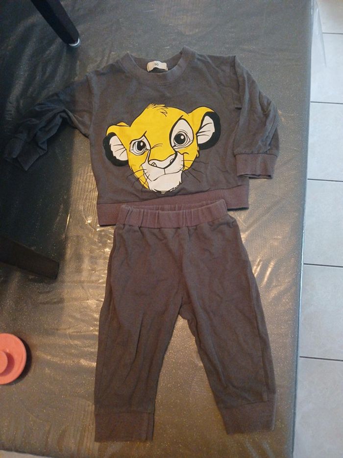 Ensemble simba