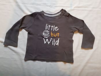 Sweet gris foncé  motif lion blanc