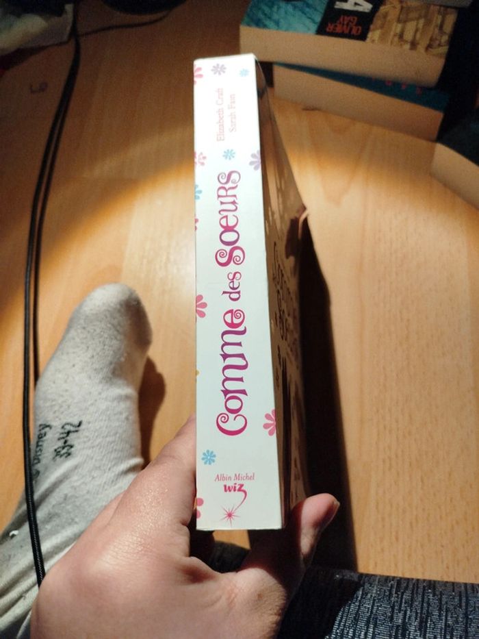 Roman comme des sœurs - photo numéro 2