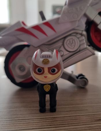 Chascadeur patpatrouille