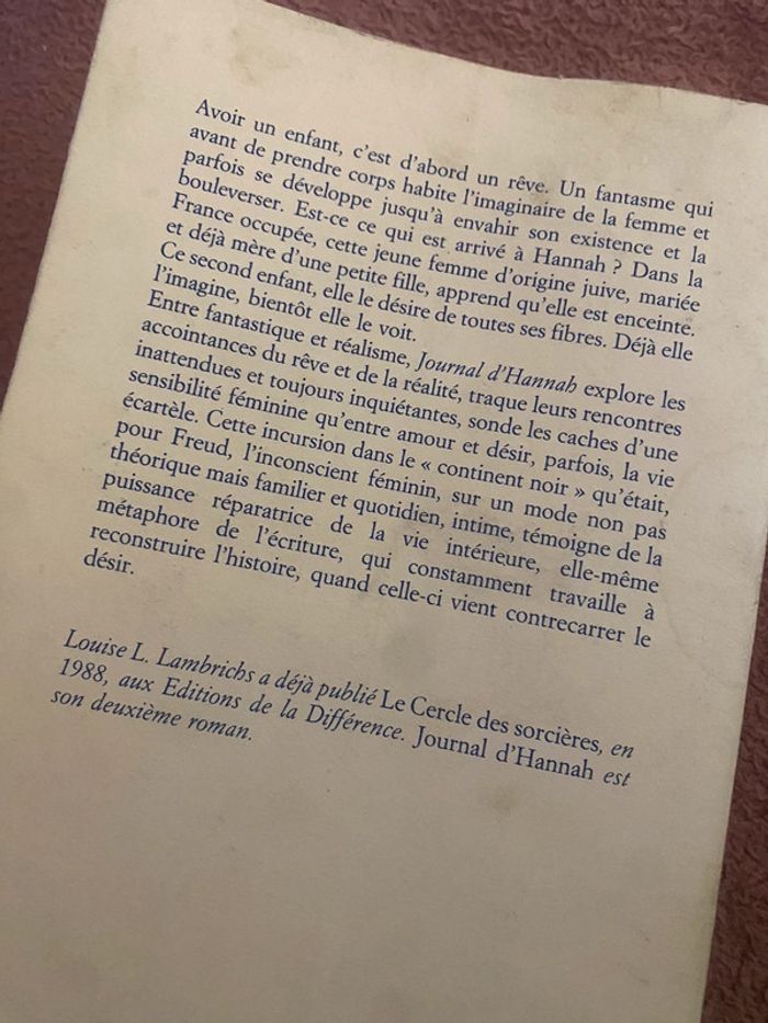 Journal d’Hannah – Louise L. Lambrichs 1993 - photo numéro 6