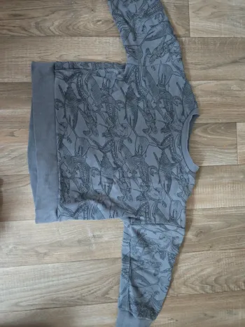 Pull bleu