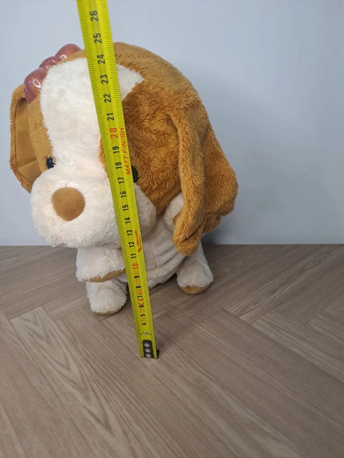 Chien - photo numéro 5