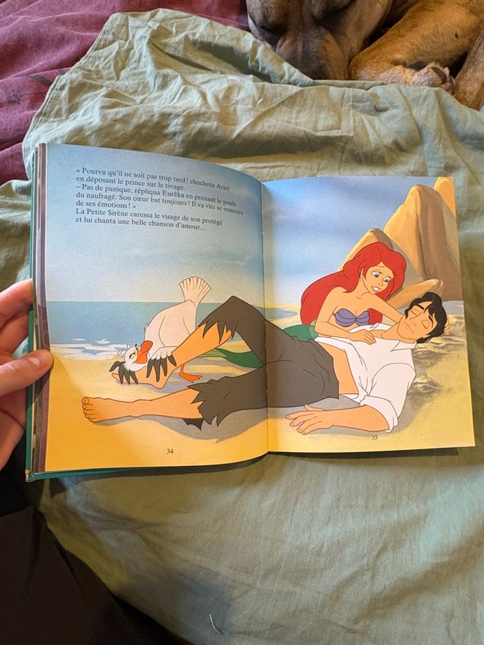La petite sirène - photo numéro 3