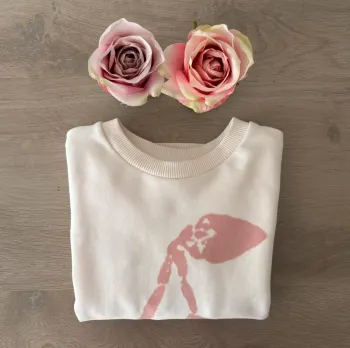 🍒Pull Bonpoint 🍒cf descriptif