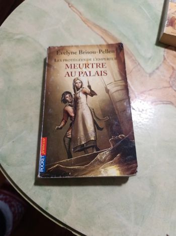 Meurtre au palais de Évelyne brissou-pellen