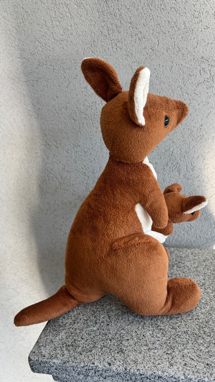 Kangourou avec bébé - photo numéro 5