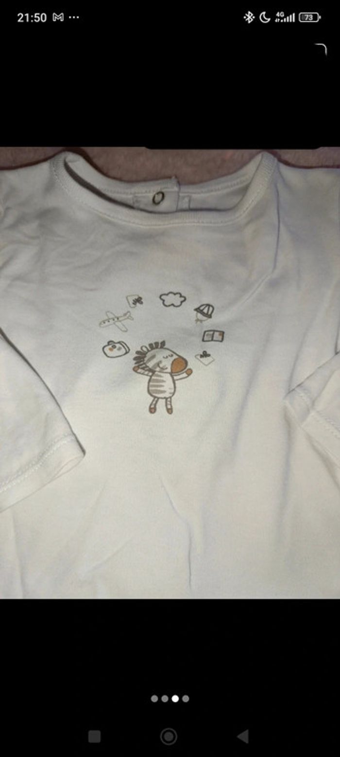 T shirt absorba zèbre - photo numéro 3