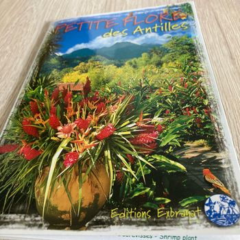 Petite flore des Antilles