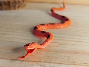 Figurine serpent orange Animal de la savane