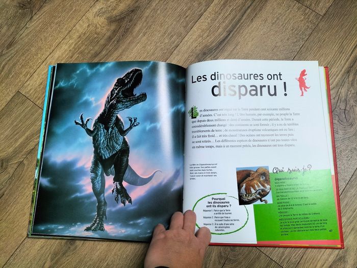 Les dinosaures - photo numéro 5