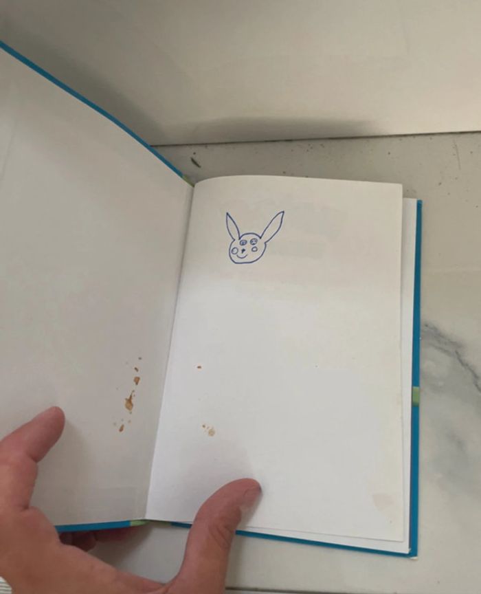 Livre Pokémon - photo numéro 2
