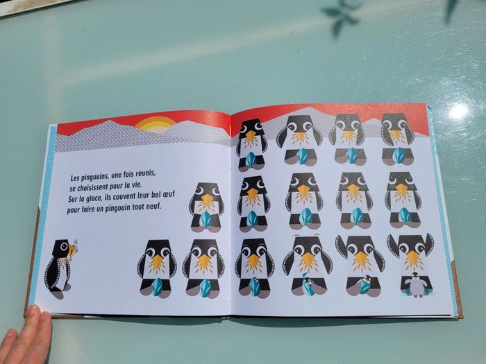 Livre animé 🦭 La Famille Pôles 🐧 - photo numéro 4