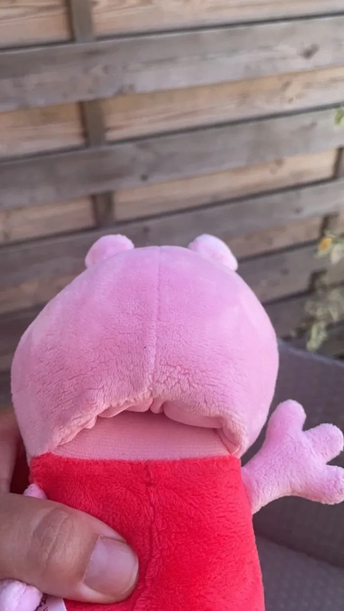 Peppa piG - photo numéro 3