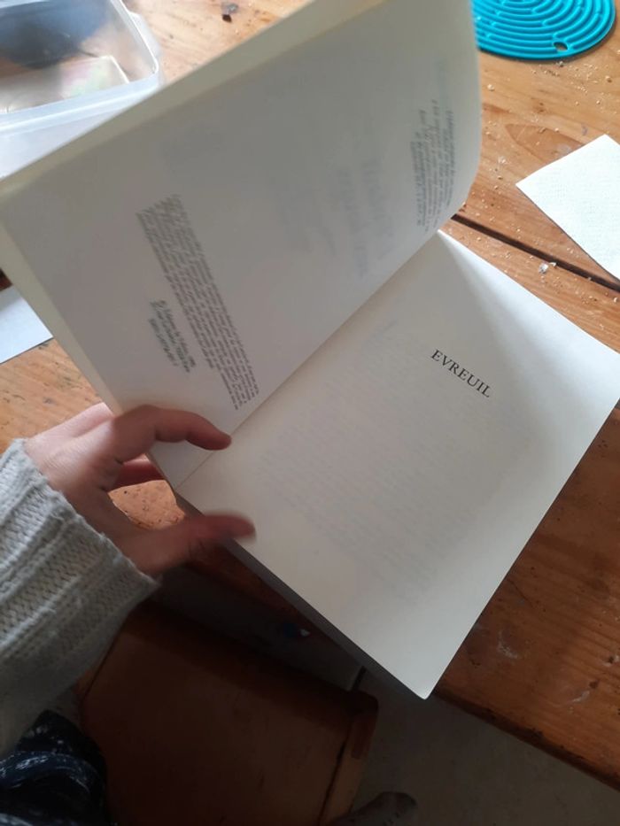 Gros livre l'enfant au loups - photo numéro 8