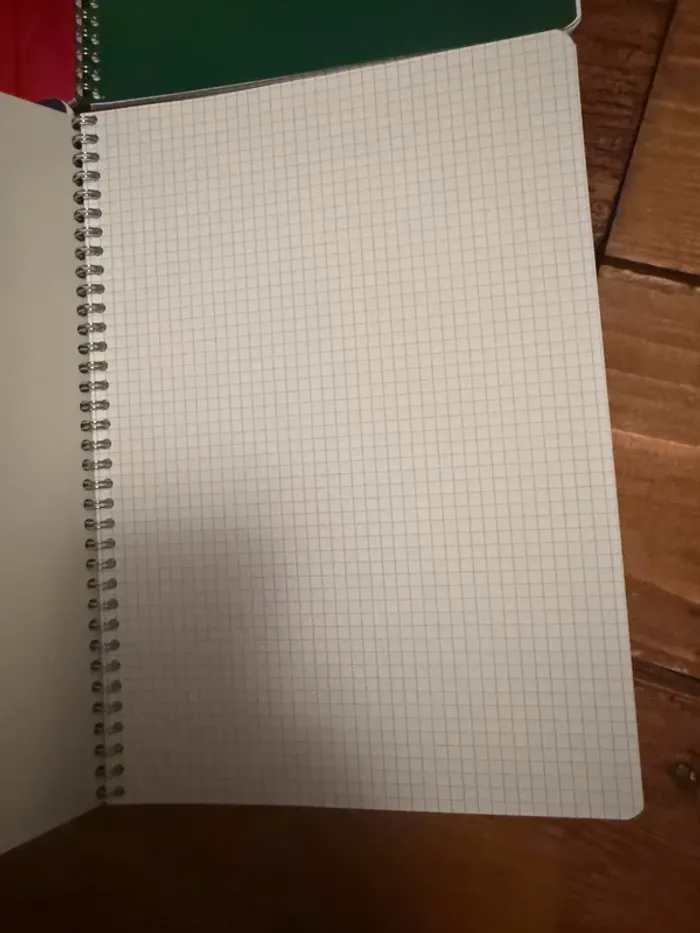 NEUF Calligrahe lot de 9 cahiers petits carreaux spirales Ligne 7000 100 pages 70g - photo numéro 3