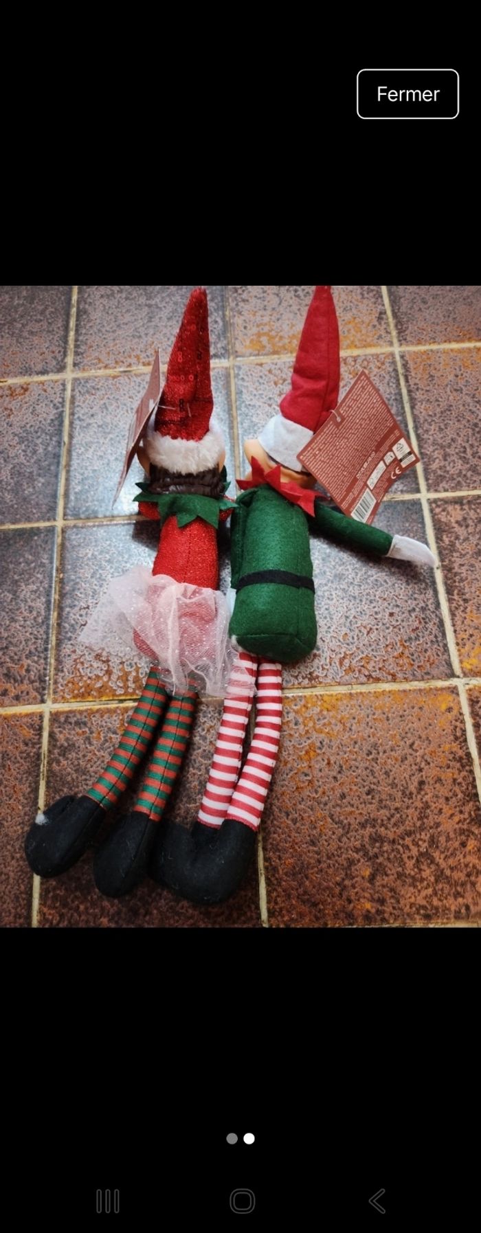 Couple lutin farceur - photo numéro 2